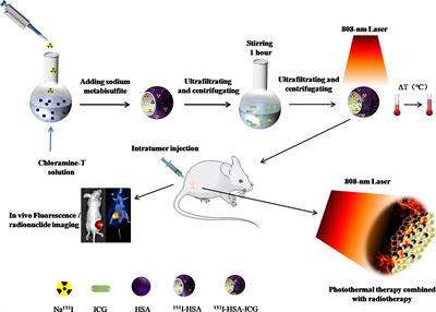 Radionuclide 131I-labeled albumin-indocyanine green nanoparticles for synergistic combined radio-photothermal therapy of anaplastic thyroid cancer